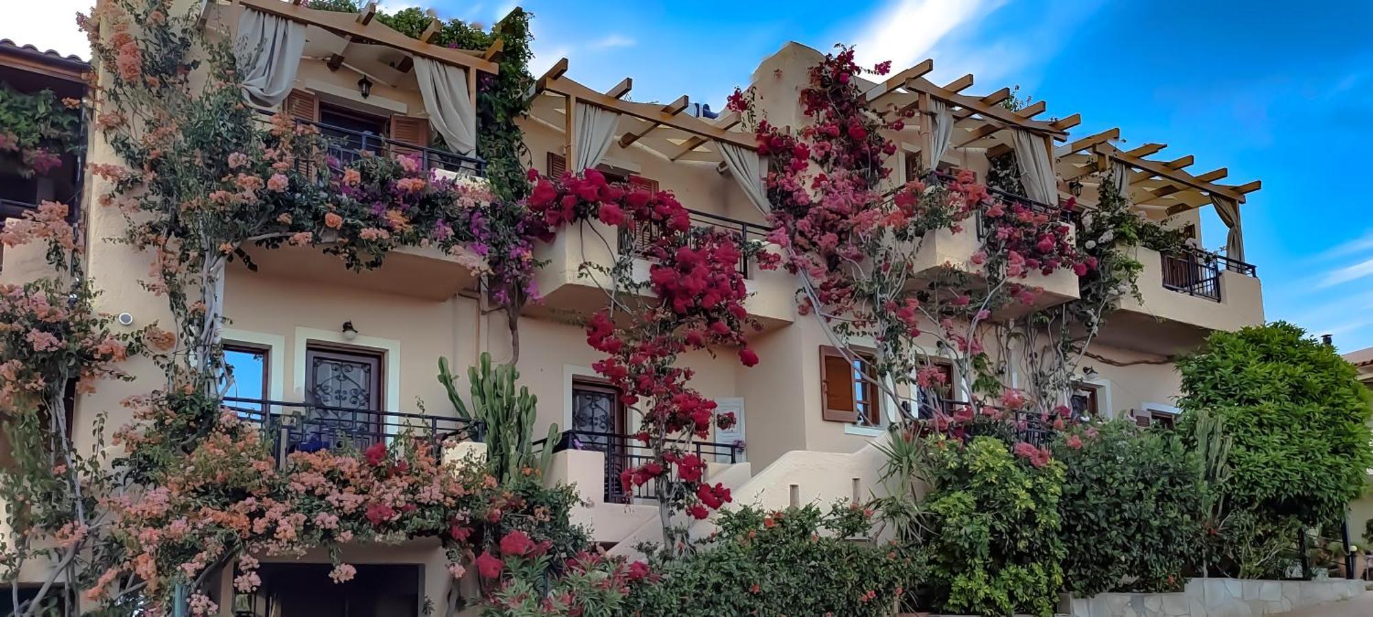 Niki Apartments Makry Gialos  Exterior photo